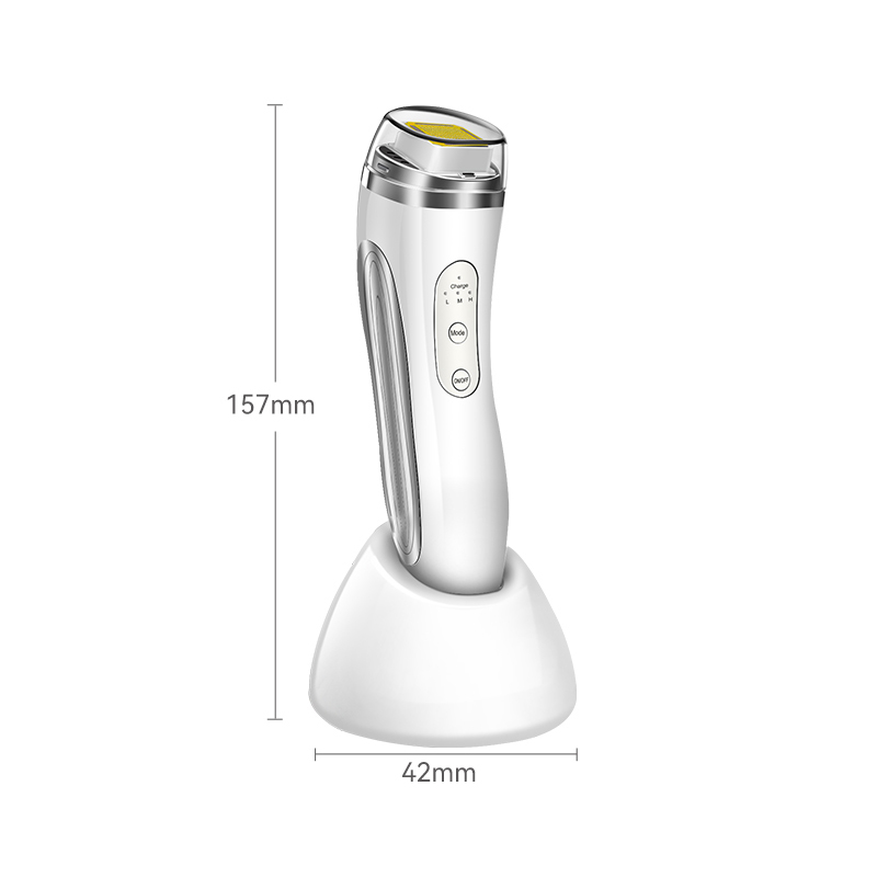 Portable Dot Matrix RF Facial Machine (2)